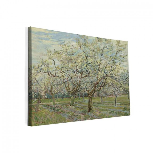 hurken omvang voorspelling Canvas schilderij witte boomgaard | Muurmode.nl